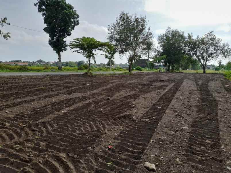 tanah strategis sleman kawasan candi prambanan