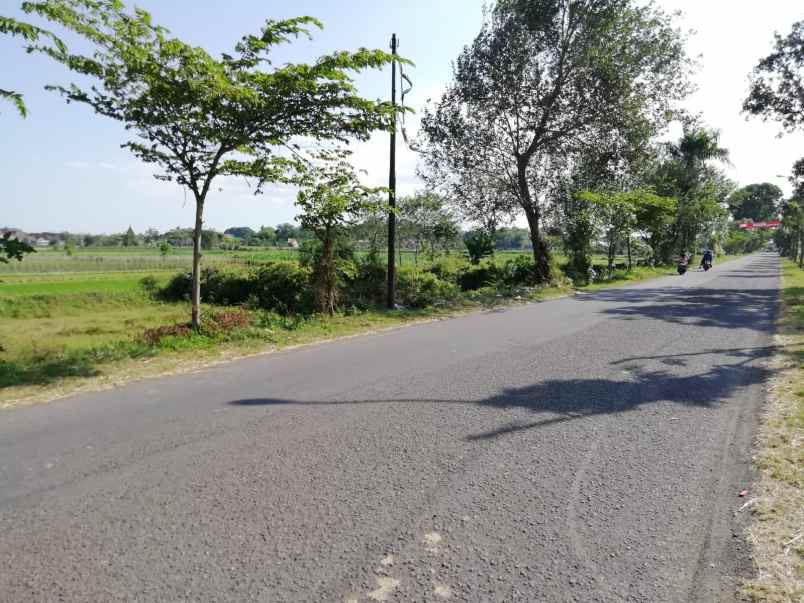 tanah strategis sleman kawasan candi prambanan