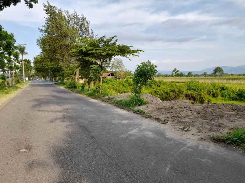 tanah strategis sleman kawasan candi prambanan