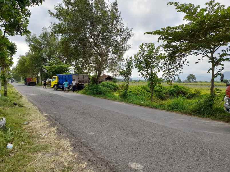 tanah strategis sleman kawasan candi prambanan