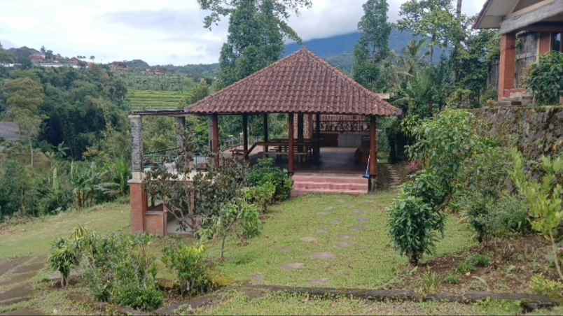 tanah view gunung area bedugul baturiti tabanan bali
