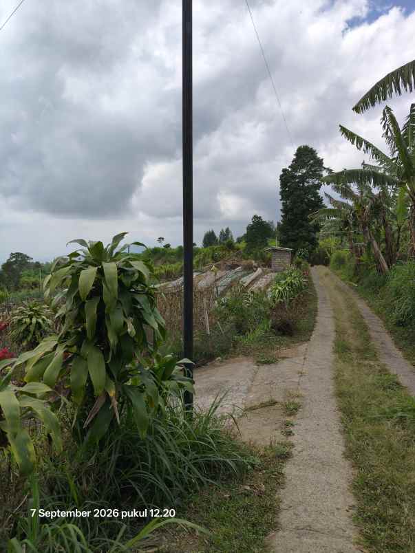 tanah view laut dan lembah di wanagiri singaraja bali