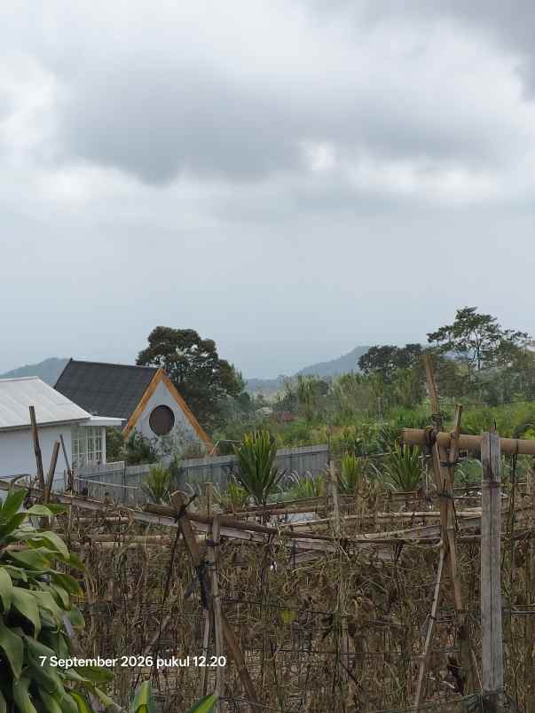tanah view laut dan lembah di wanagiri singaraja bali