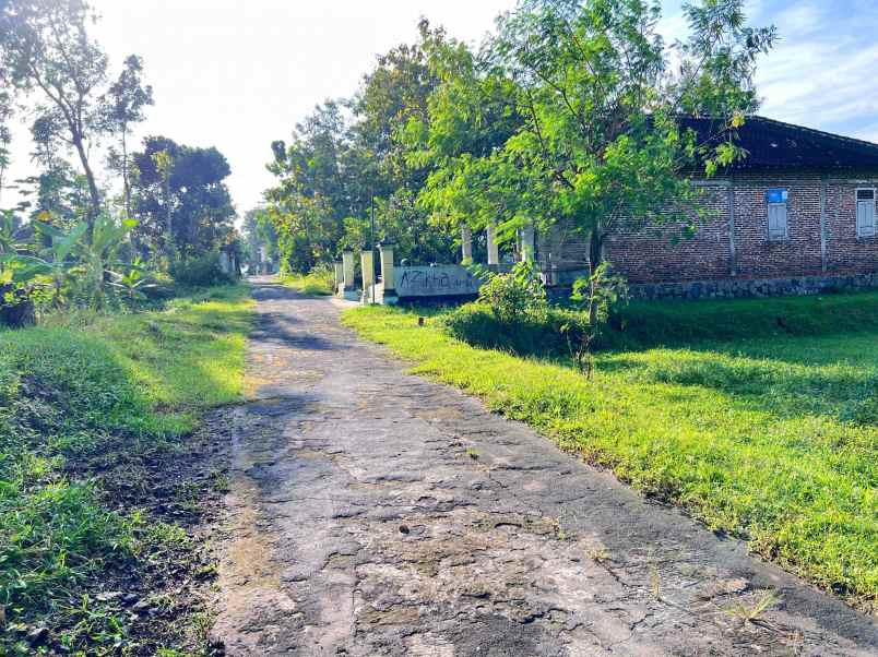 tanah view sawah 792m mojogedang karanganyar