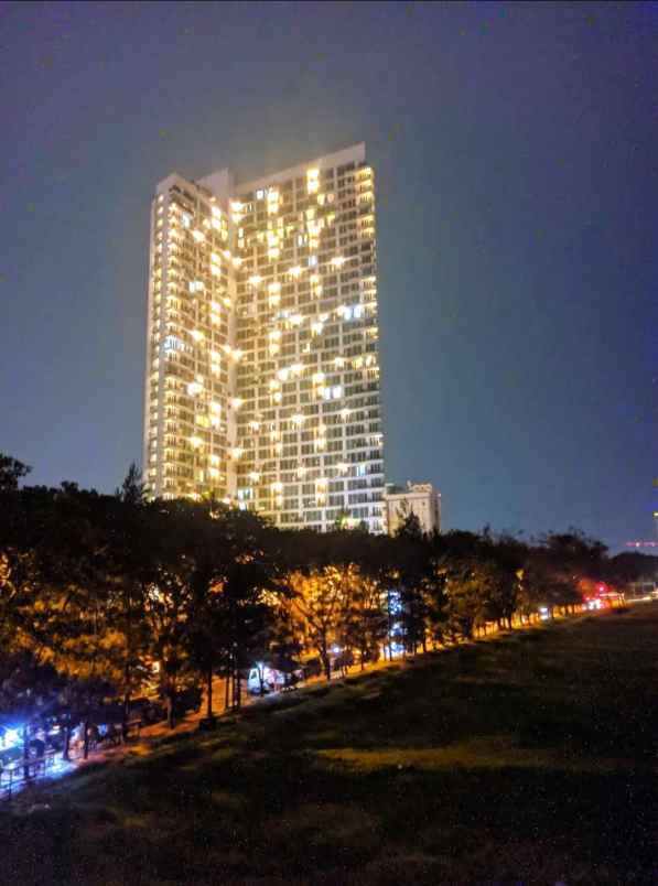 treepark bsd studio ff 1roja7