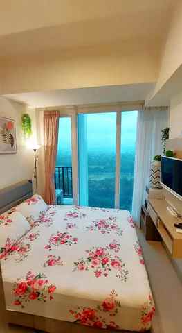 treepark bsd studio ff 1roja7