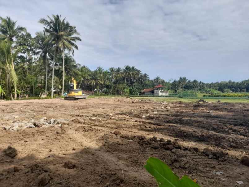 utara pasar jombokan jual tanah yogyakarta kulonprogo