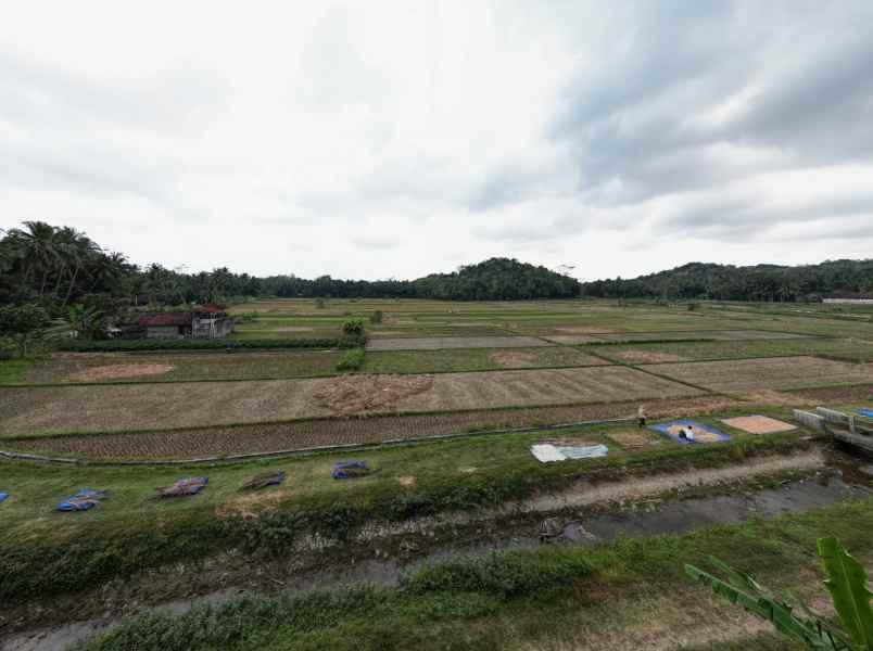 utara pasar jombokan jual tanah yogyakarta kulonprogo