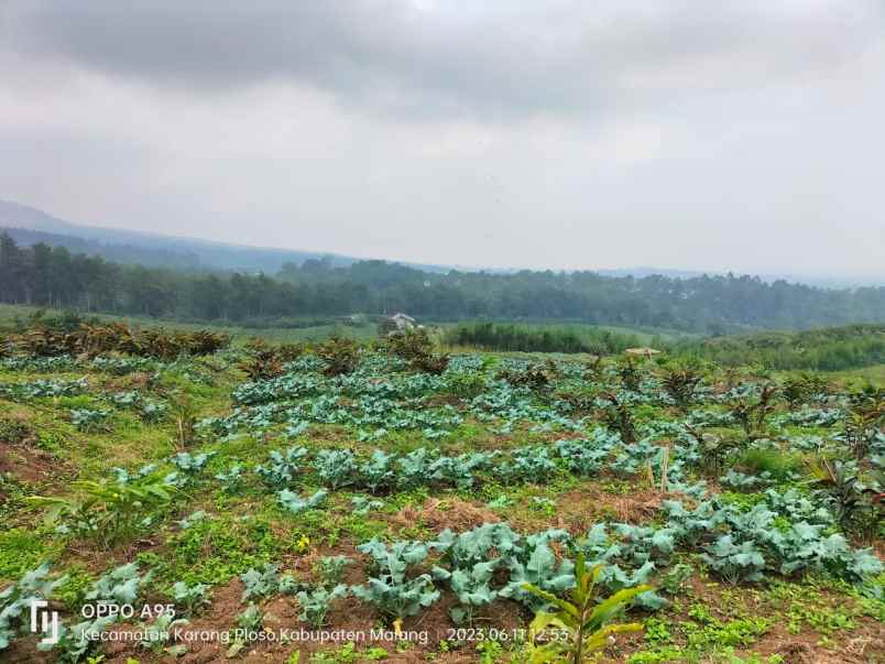 villa dan tanah untuk wisata kota batu