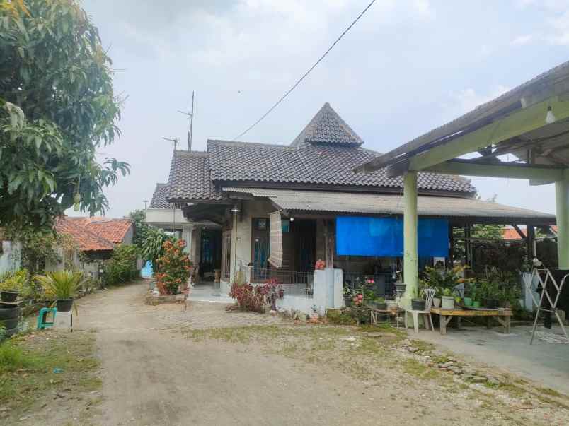 dijual kost dusun krajan 2 desa