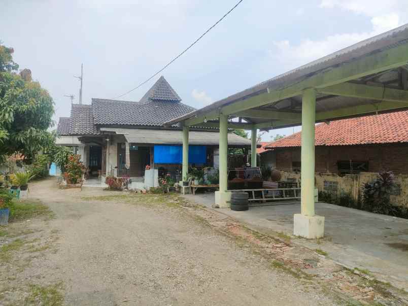 dijual kost dusun krajan 2 desa