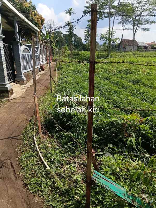 dijual murah tanah shm tanjungsari kab sumedang