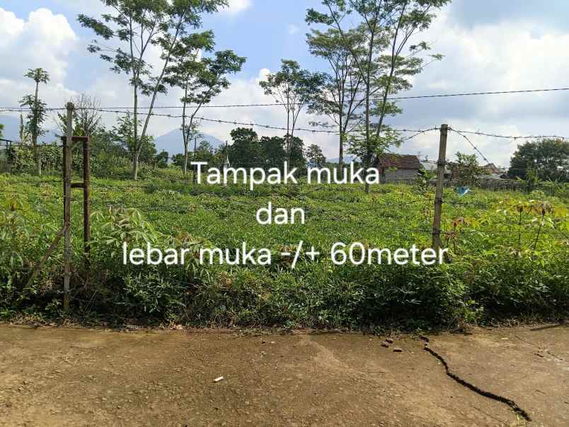 dijual murah tanah shm tanjungsari kab sumedang