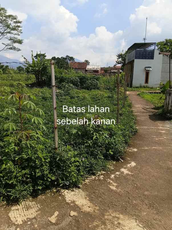 dijual murah tanah shm tanjungsari kab sumedang