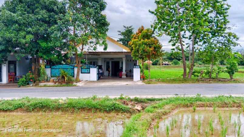 dijual rumah cantik view sawah gunung