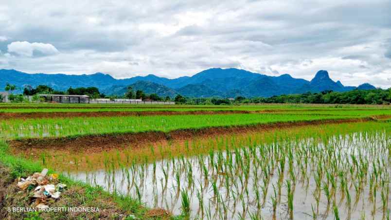 dijual rumah cantik view sawah gunung