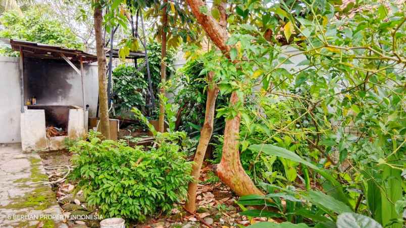 dijual rumah cantik view sawah gunung