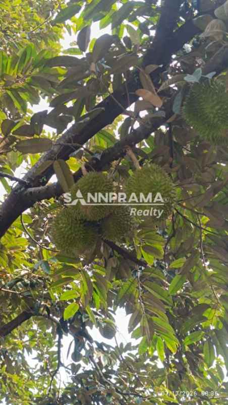 dijual rumah duren seribu