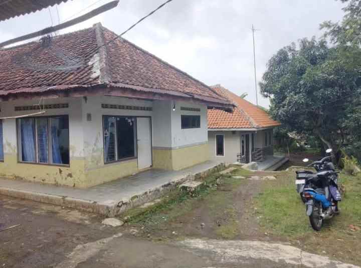 dijual rumah kampung kondisi apa adanya