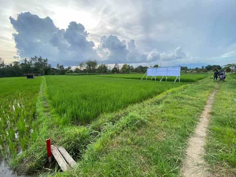 dijual rumah kemudo prambanan klaten