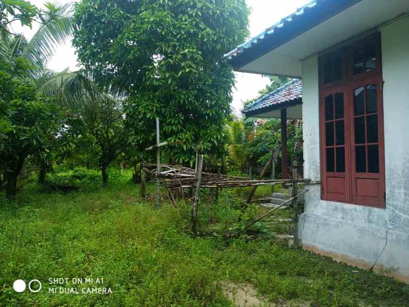 dijual rumah komplek damai meranti