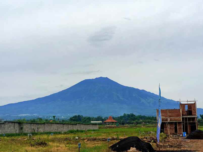 dijual rumah lokasi strategis dekat jalan raya