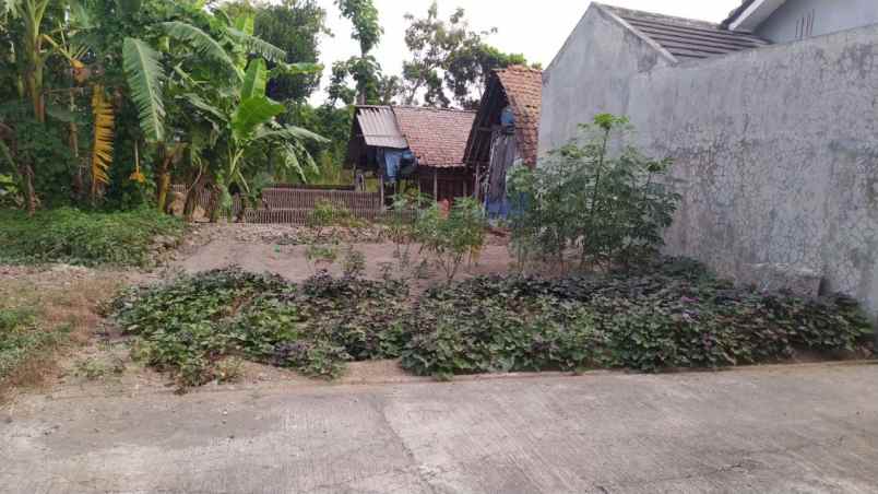 dijual rumah potorono sitimulyo