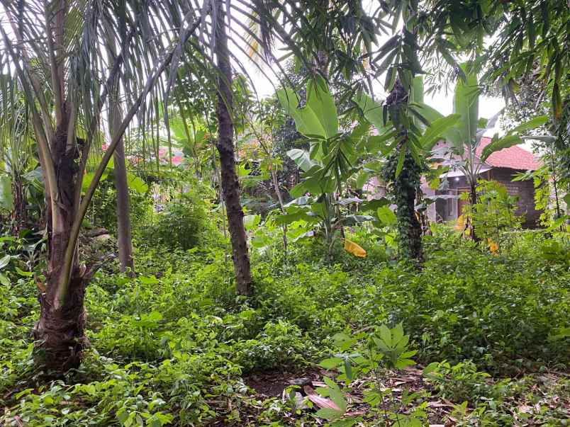 dijual rumah sukatani