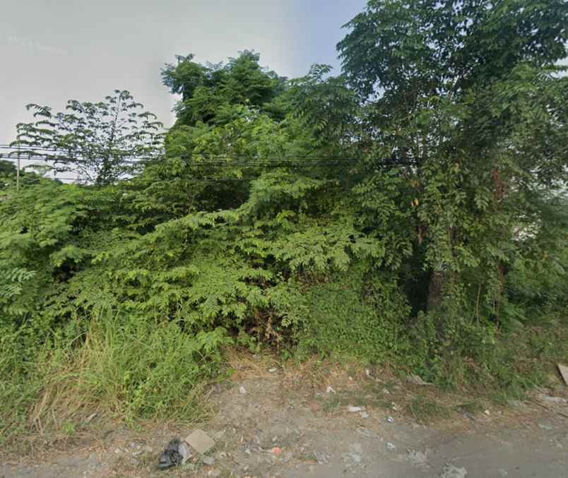 dijual tanah alas malang sambikerep