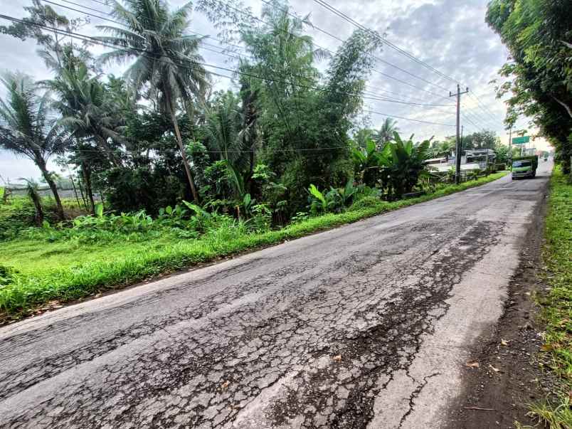 dijual tanah banyurejo kec tempel