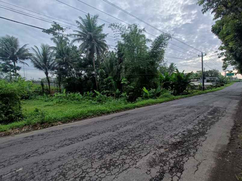 dijual tanah banyurejo kec tempel