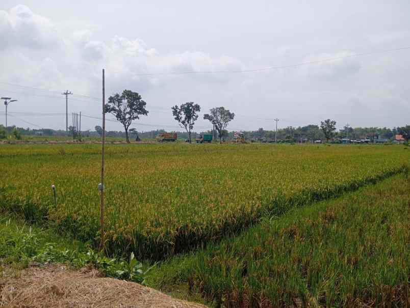 dijual tanah bawan mrisen