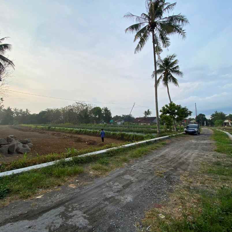 dijual tanah blekik sardonoharjo