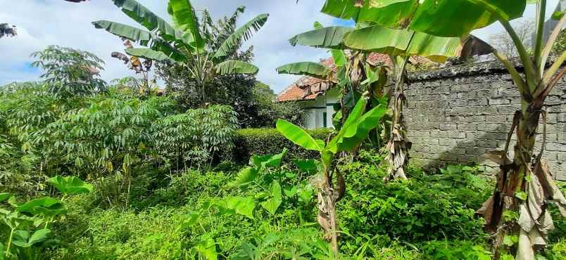 dijual tanah bukit rahayu