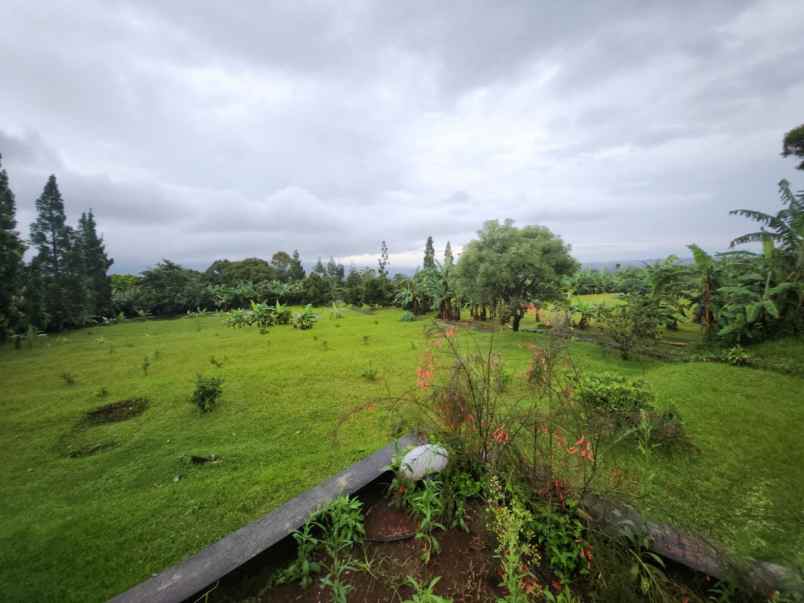 dijual tanah caringin