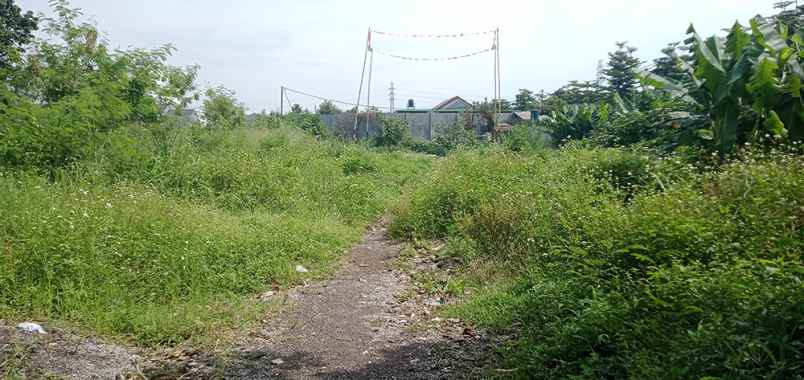 dijual tanah ciganitri