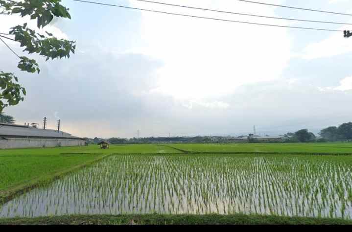 dijual tanah cimareme batujajar