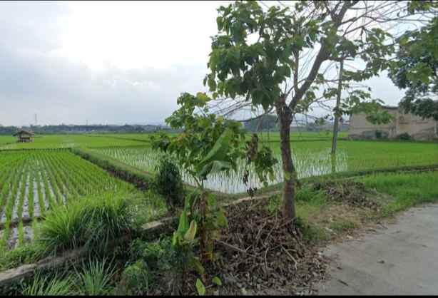 dijual tanah cimareme batujajar