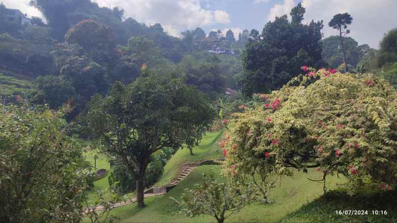 dijual tanah cisarua puncak bogor