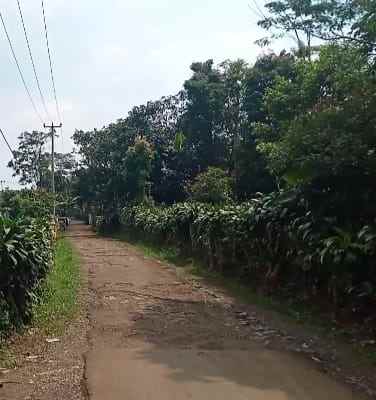 dijual tanah darangdan