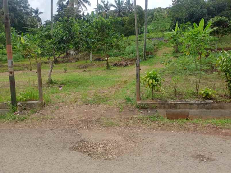 dijual tanah desa ciburuy kecamatan