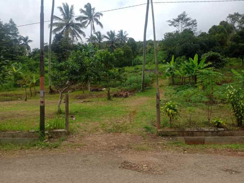 dijual tanah desa ciburuy kecamatan