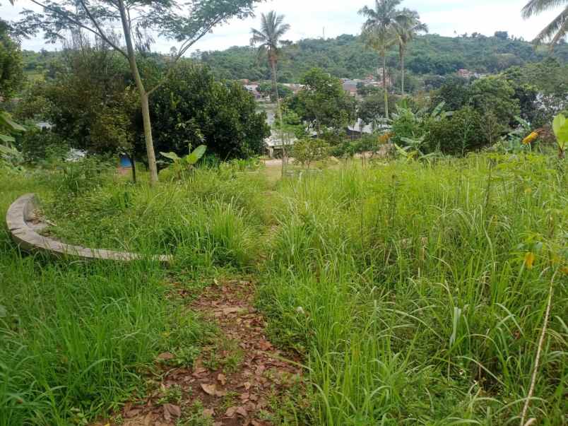 dijual tanah desa ciburuy kecamatan