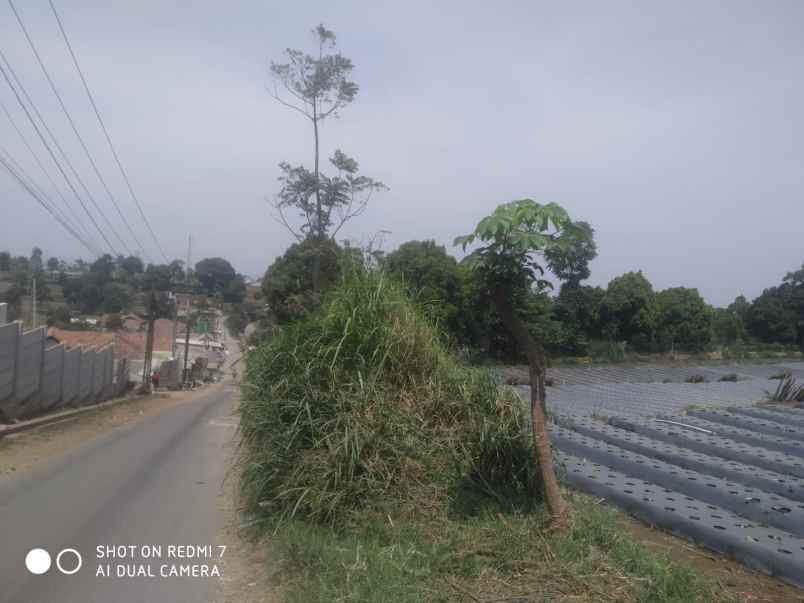 dijual tanah desa paku haji kecamatan