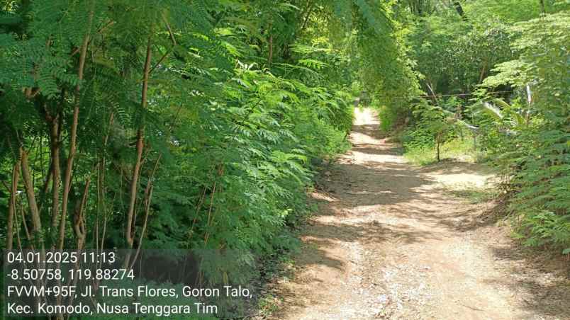 dijual tanah di labuan bajo