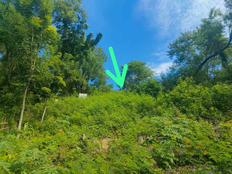 dijual tanah di labuan bajo