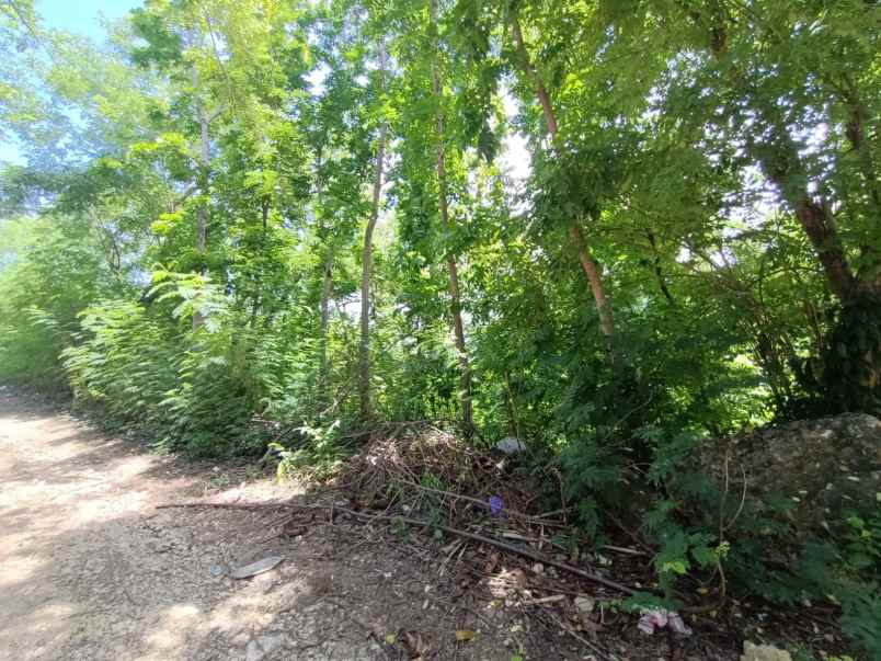 dijual tanah di labuan bajo