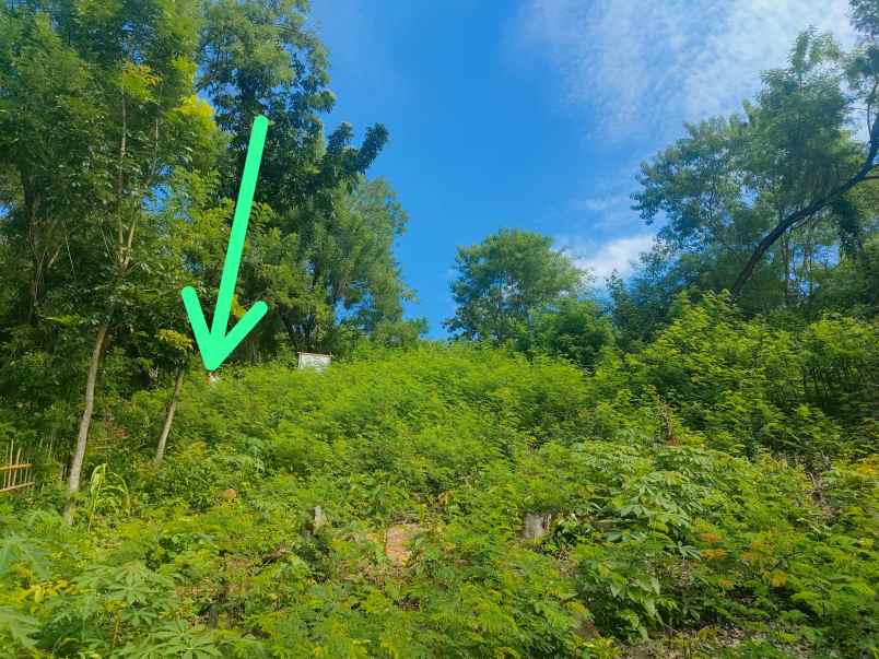 dijual tanah di labuan bajo