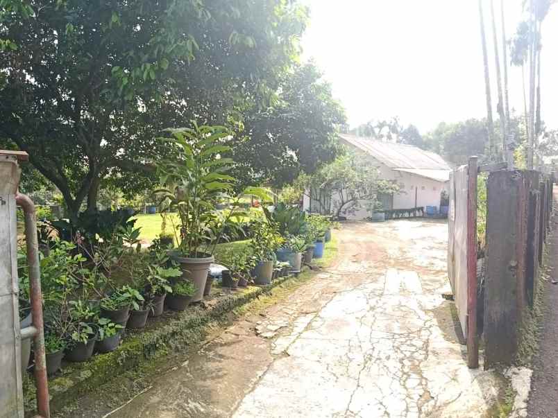 dijual tanah dramaga