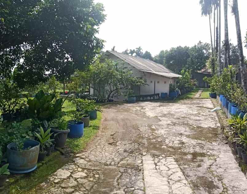 dijual tanah dramaga